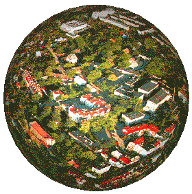 panorama_long